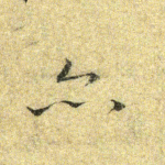 亦