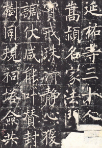 善才寺碑 - 第28页
