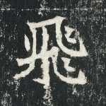 飞