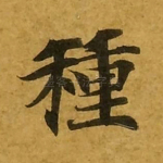 种