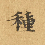 种