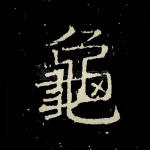 龟