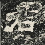 君