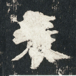 表
