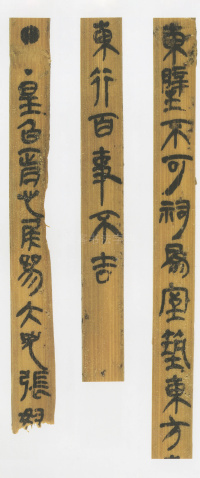 印台前汉简 - 第14页