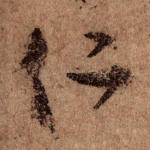 仁