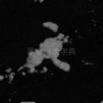 之
