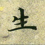 生