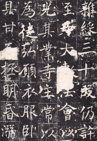 善才寺碑 - 第15页