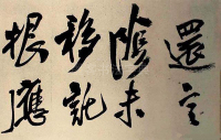 蕣华谁道色殊众 - 第4页