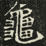 龟