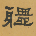 体