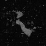 之