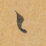 纤