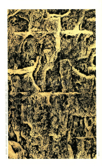 褒斜道刻石 - 第64页