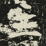 主