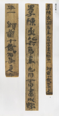 郴州吴简 - 第1页