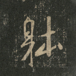 体