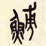 鯆