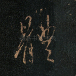 体