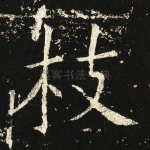 枝