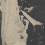 会
