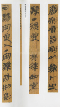 云梦睡虎地秦简 - 第10页