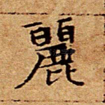 丽
