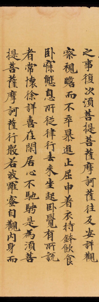 般若波罗蜜三昧品 - 第46页