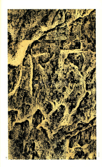 褒斜道刻石 - 第36页