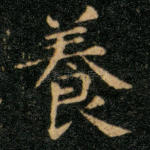养