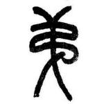 弟