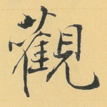 观