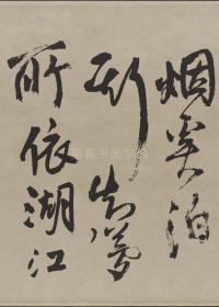 赠张抱一行书诗卷 - 第18页
