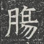 肠