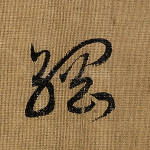纲