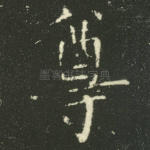 尊