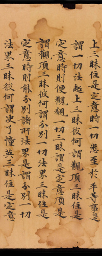 般若波罗蜜三昧品 - 第11页