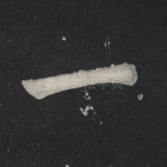 一