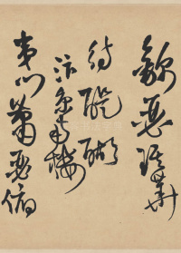 赠张抱一草书诗卷 - 第21页