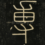 专