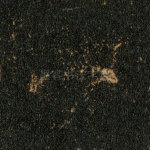 八