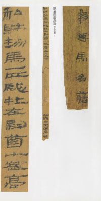 悬泉置前汉简 - 第8页