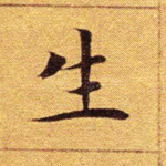 生
