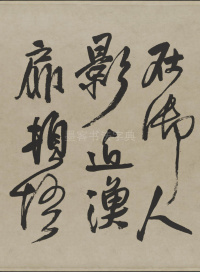 赠张抱一行书诗卷 - 第17页