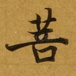 菩