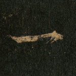 一