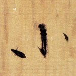 小