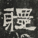 体