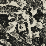 郡